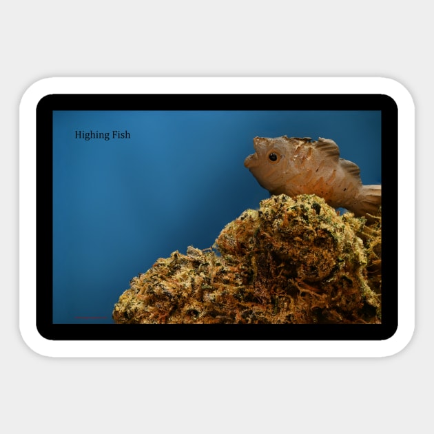 Highing Fish - Weed Design Sticker by MrGreenGenes420